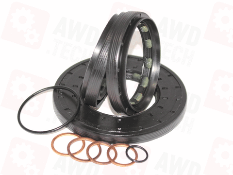 Комплект уплотнений (для ITC PLA)