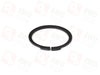  Anello di fissaggio (per M300+/ITC PLA)